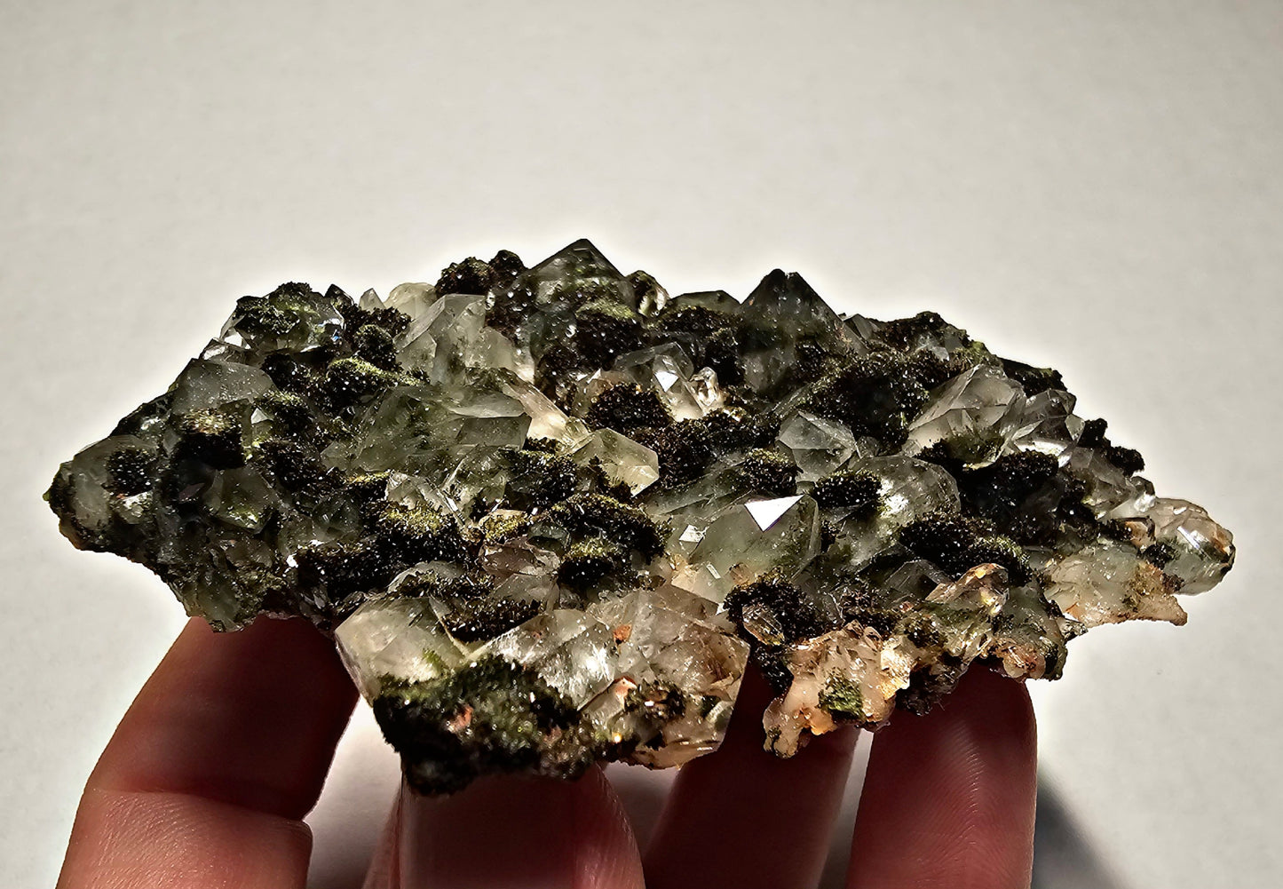 Druzy Forest Epidote with Quartz (Turkey) E1