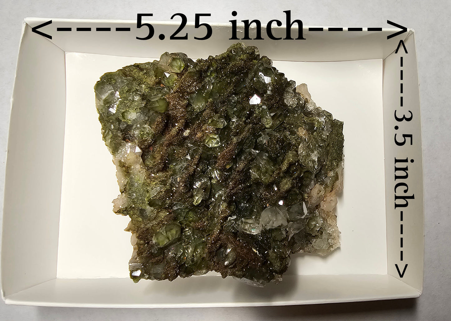Double sided Druzy Forest Epidote with Quartz (Turkey) E5