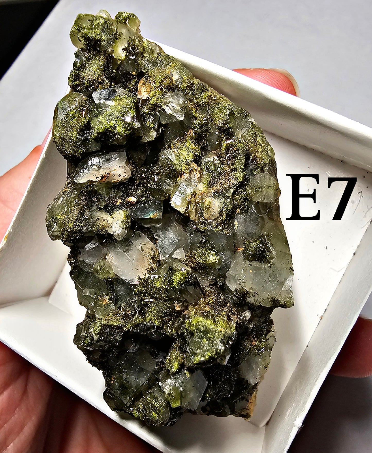 Druzy Forest Epidote with Quartz (Turkey) E6 - E10