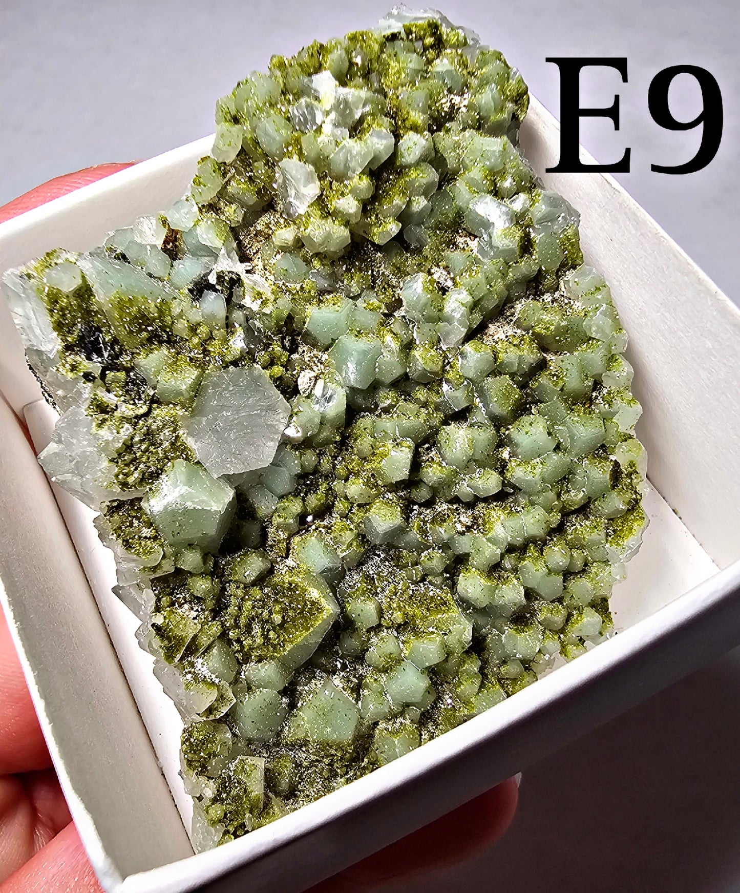 Druzy Forest Epidote with Quartz (Turkey) E6 - E10