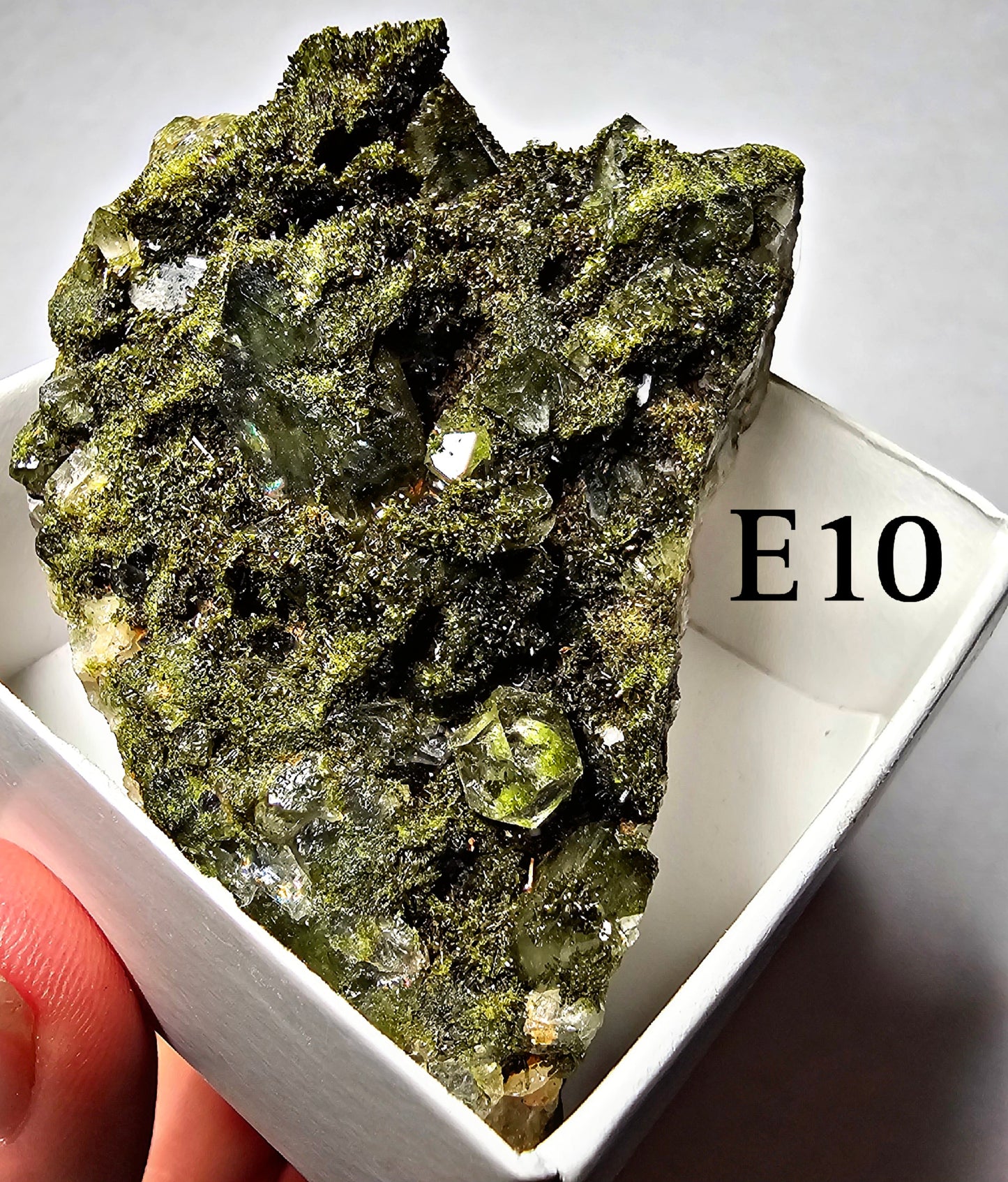 Druzy Forest Epidote with Quartz (Turkey) E6 - E10