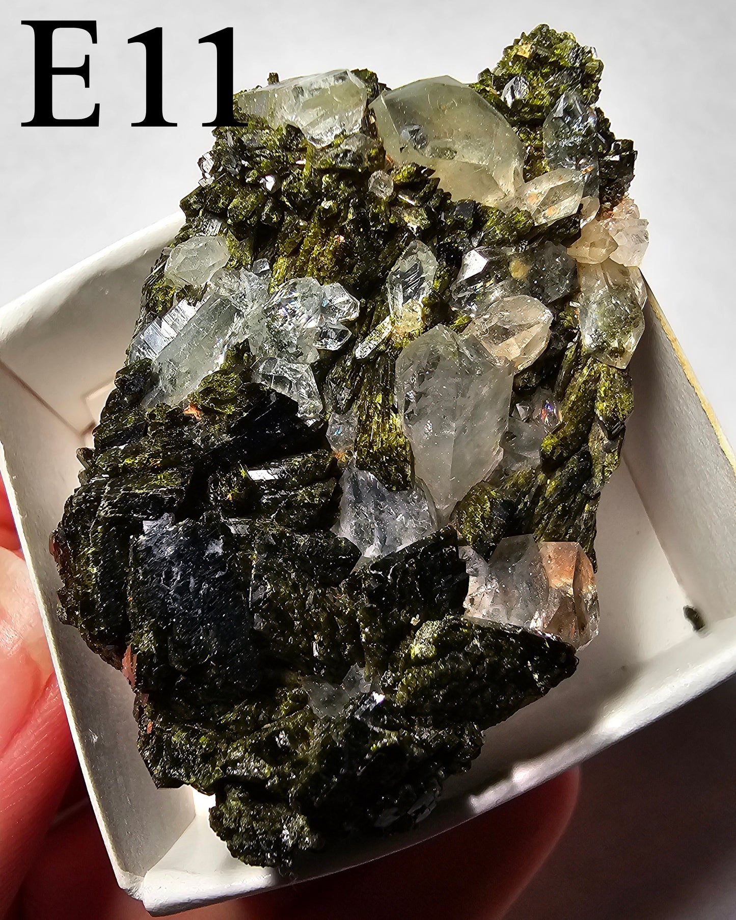 Druzy Forest Epidote with Quartz (Turkey) E11-E16
