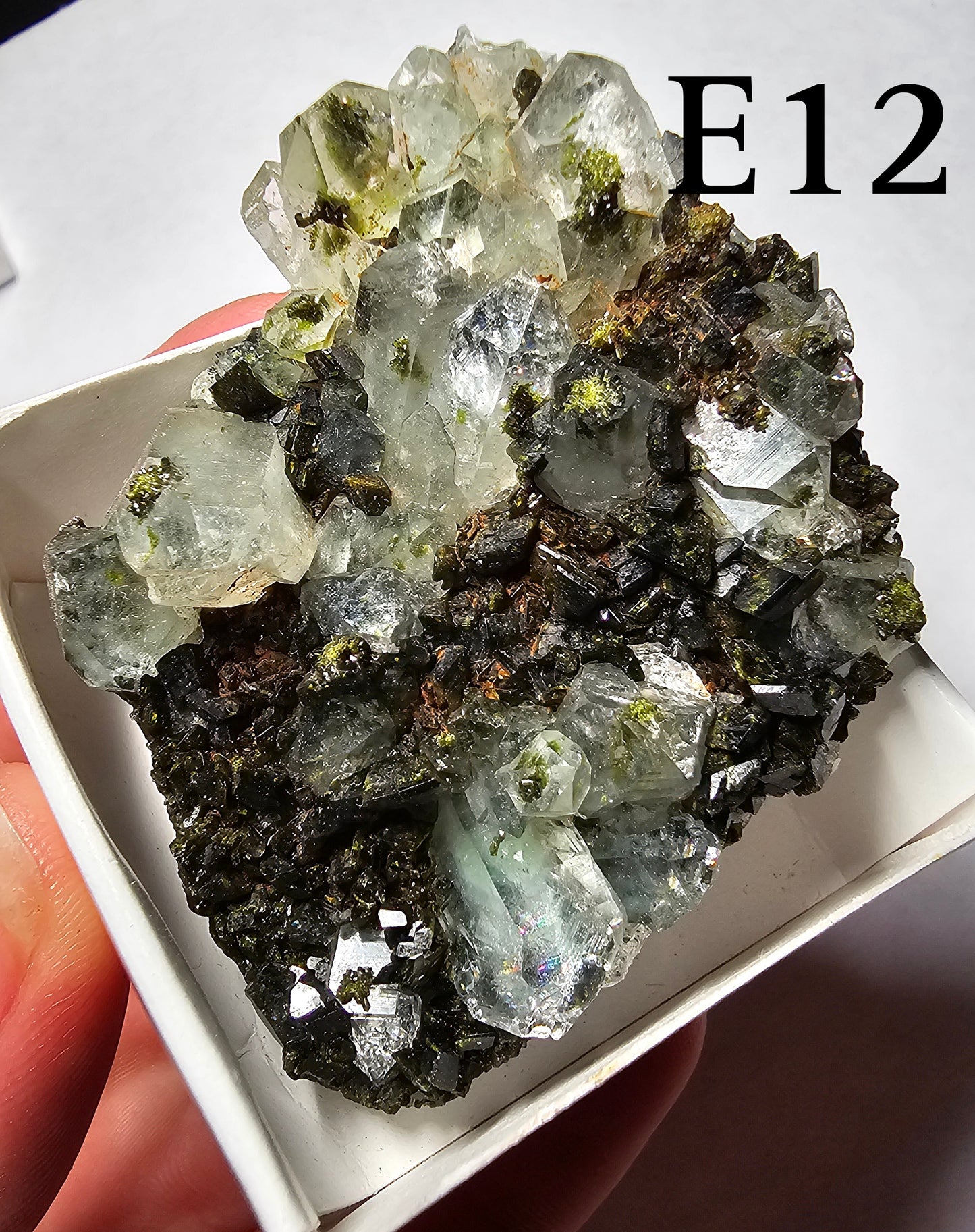 Druzy Forest Epidote with Quartz (Turkey) E11-E16