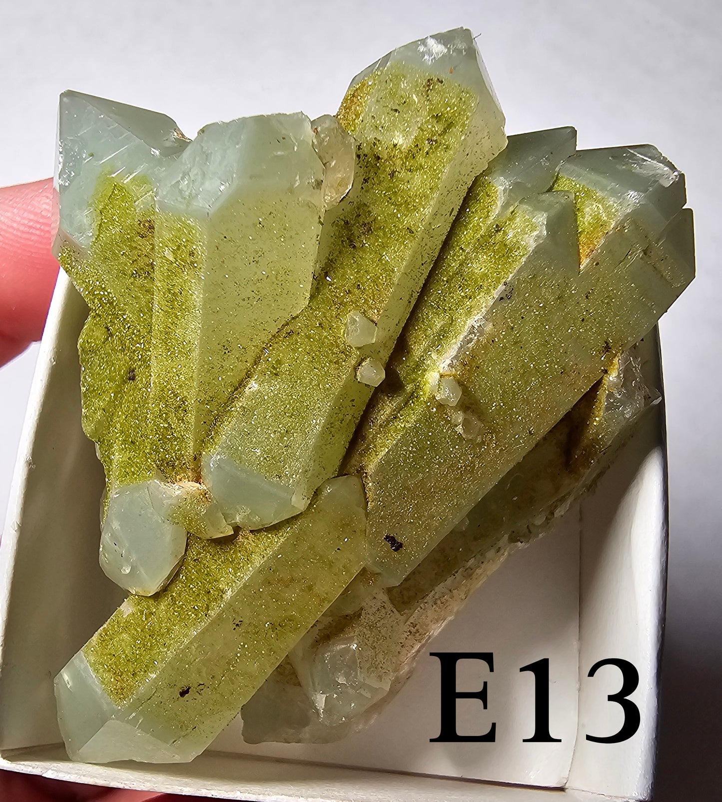 Druzy Forest Epidote with Quartz (Turkey) E11-E16