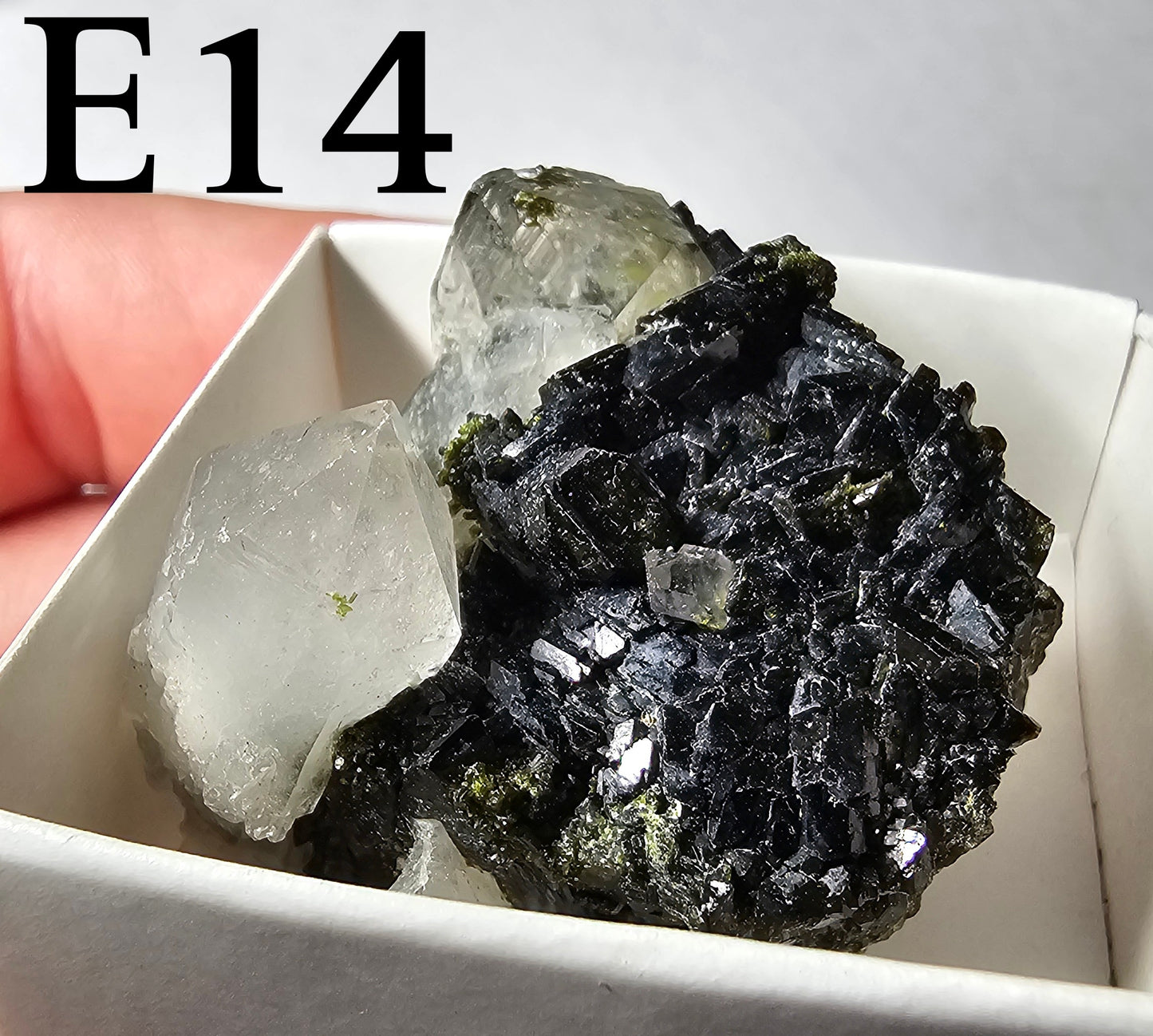 Druzy Forest Epidote with Quartz (Turkey) E11-E16