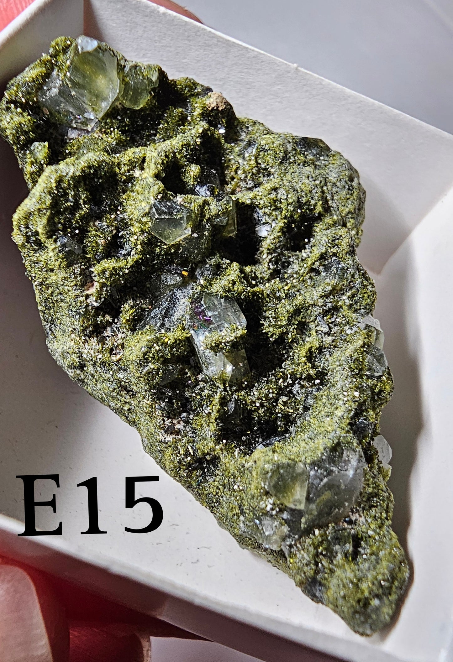 Druzy Forest Epidote with Quartz (Turkey) E11-E16
