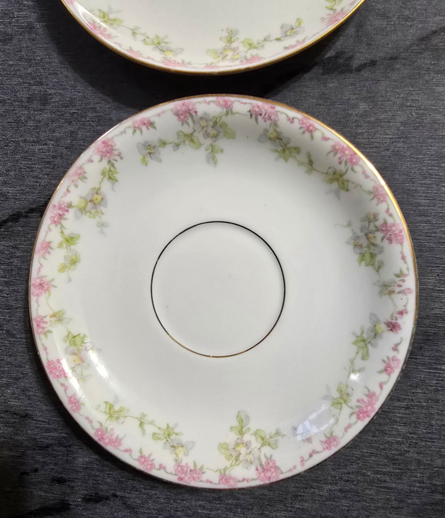 Vintage Limoges, Set of 2, Made in France W.M.Guerin Co