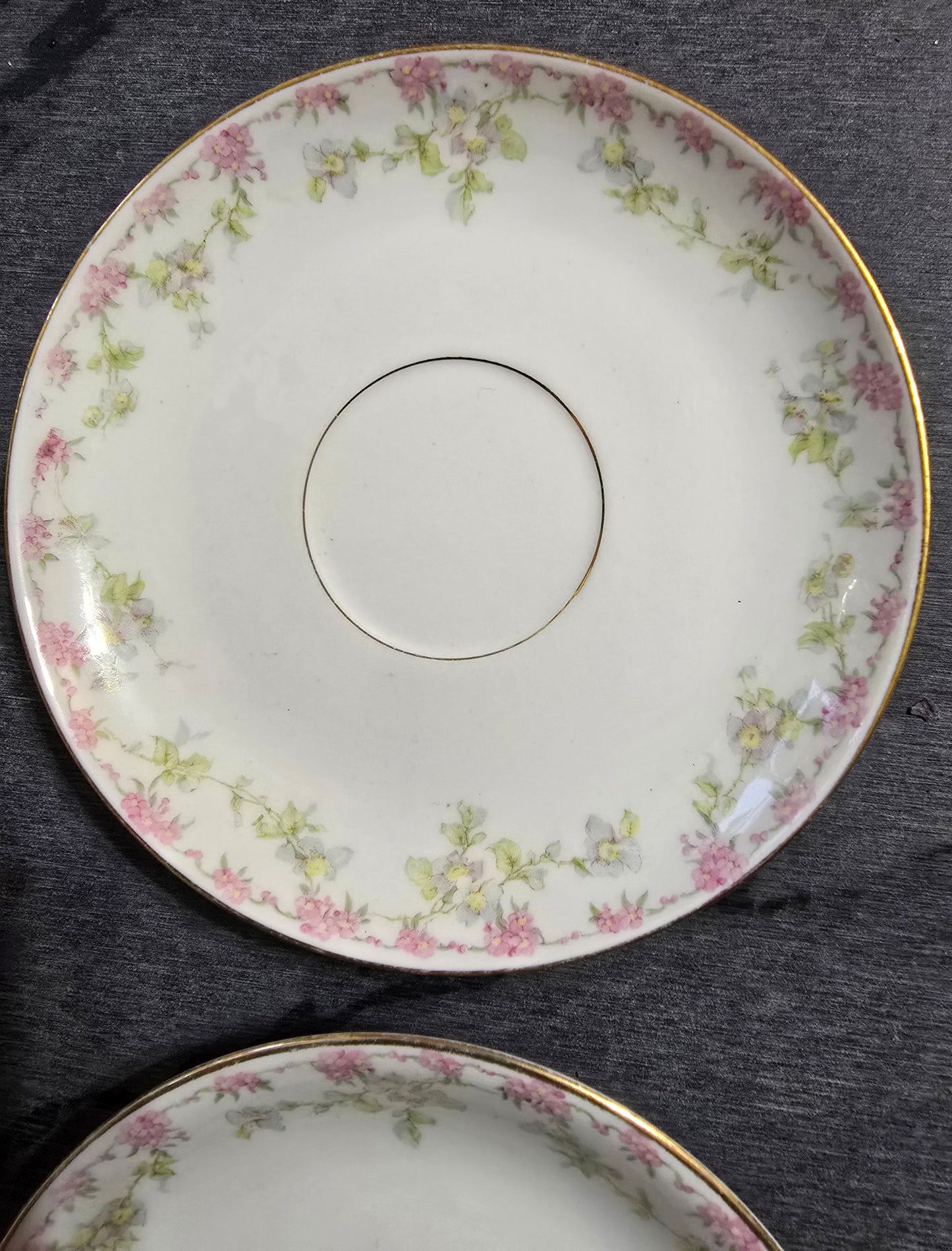 Vintage Limoges, Set of 2, Made in France W.M.Guerin Co