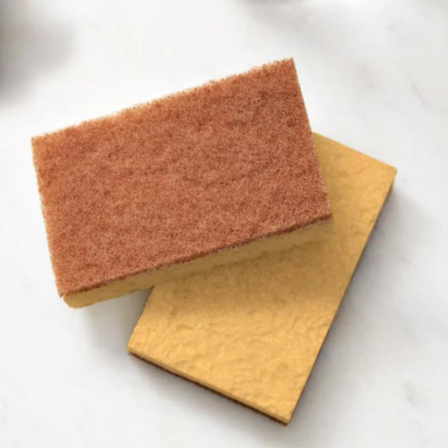 Walnut Scrubber Sponge 4pack